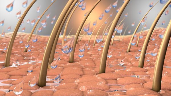 washout effekt beschreibt eine Schädigung der Hautbarriere