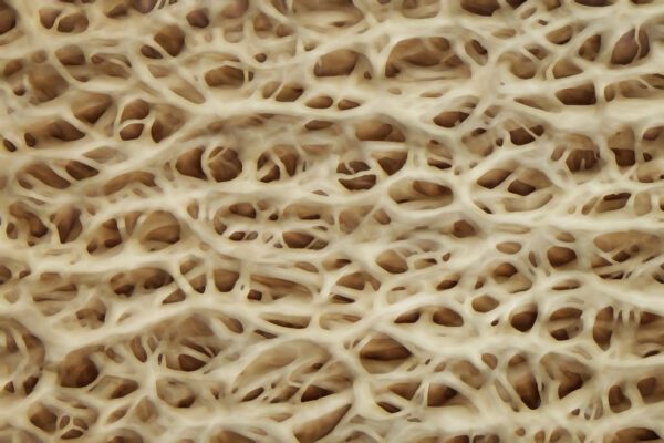 Kollagenes Netzwerk in der Hautalterung